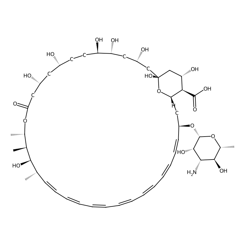 Amphotericin b