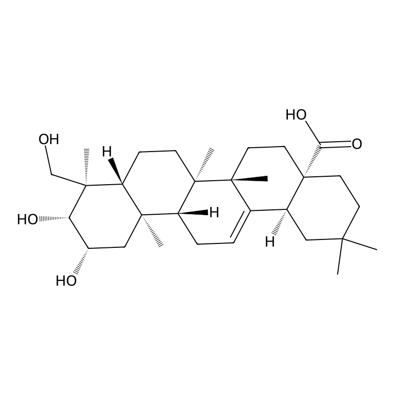 Bayogenin