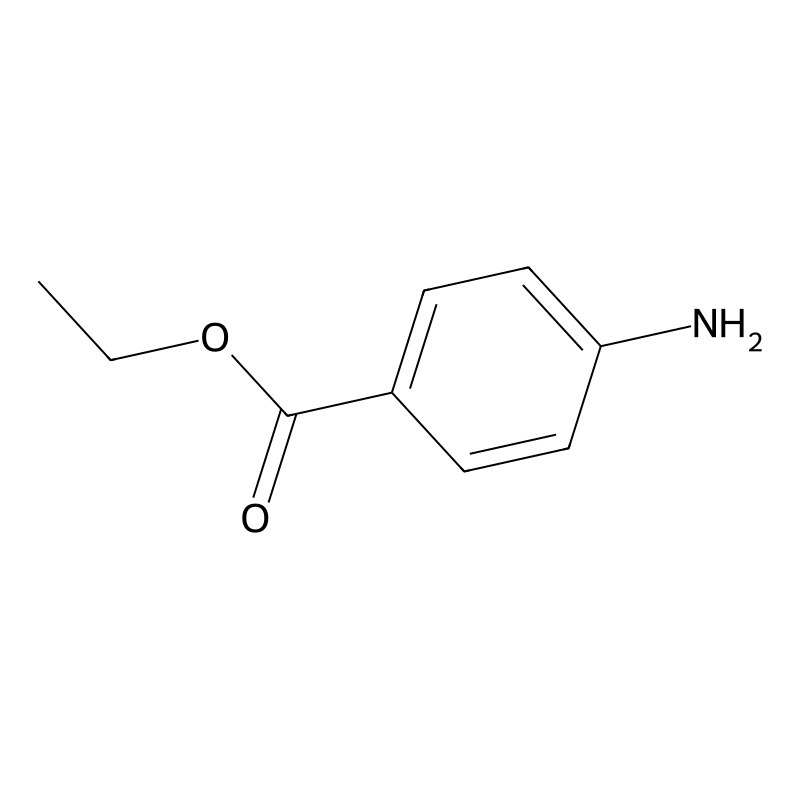 Benzocaine