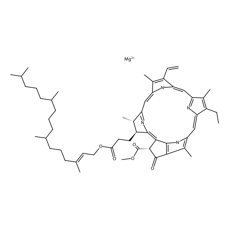 Chlorophyll