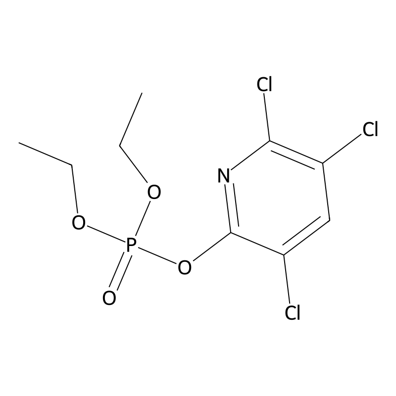 Chlorpyrifos oxon