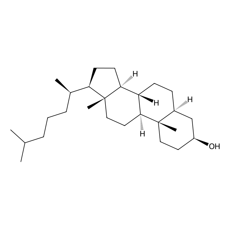 Cholestanol