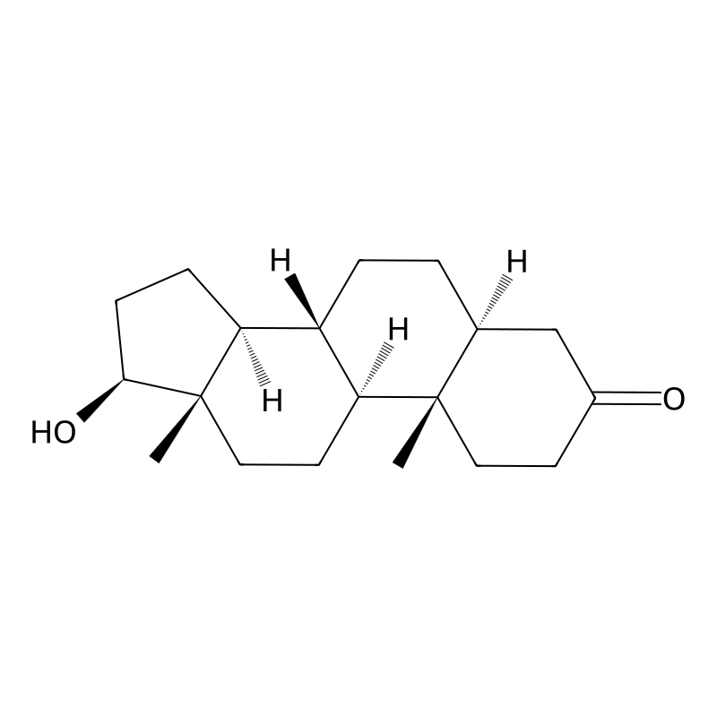 Dihydrotestosterone