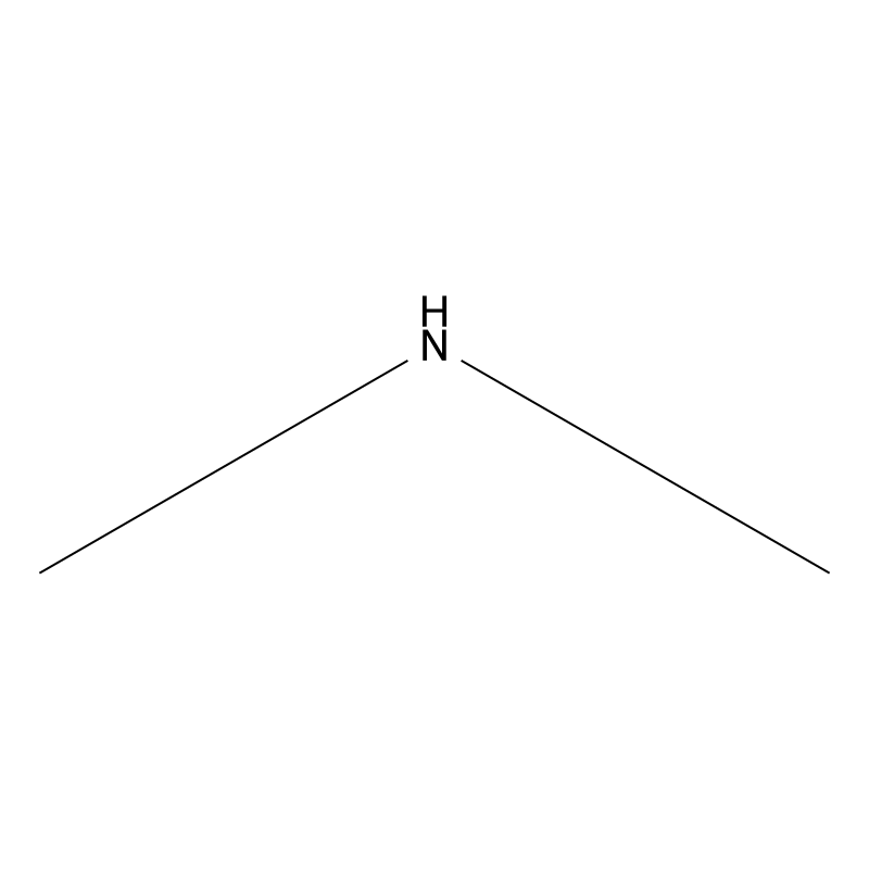 Dimethylamine