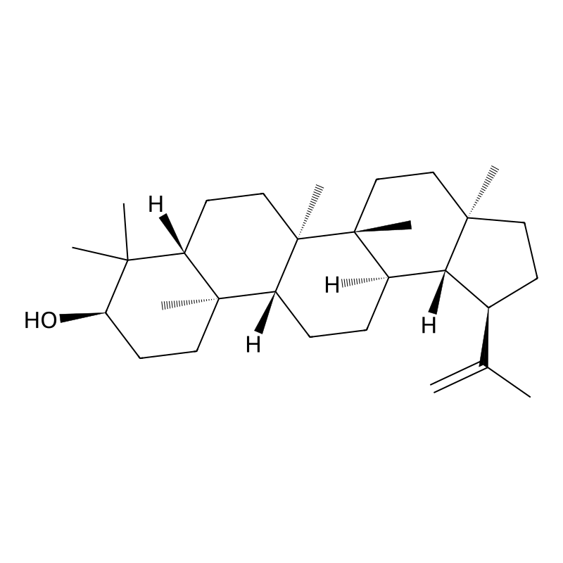 Epilupeol