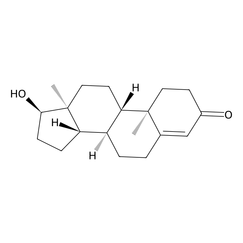 C19H28O2 isomers