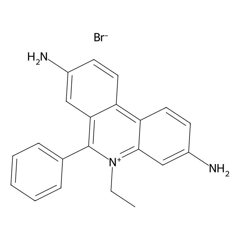 ethidium bromide