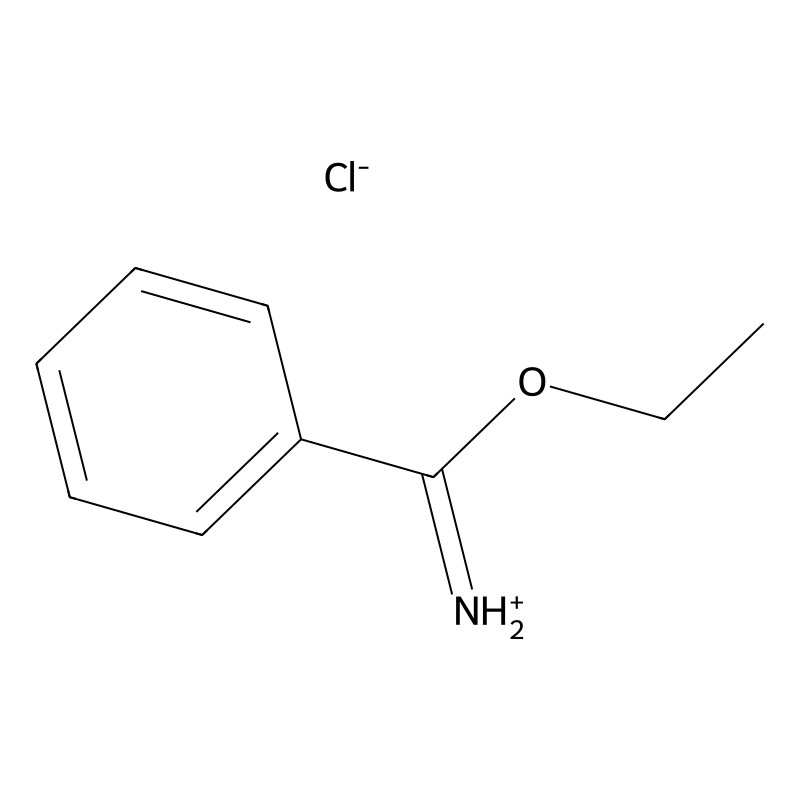 Ethyl benzimidate hydrochloride