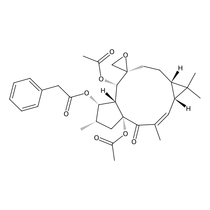 Euphorbiasteroid