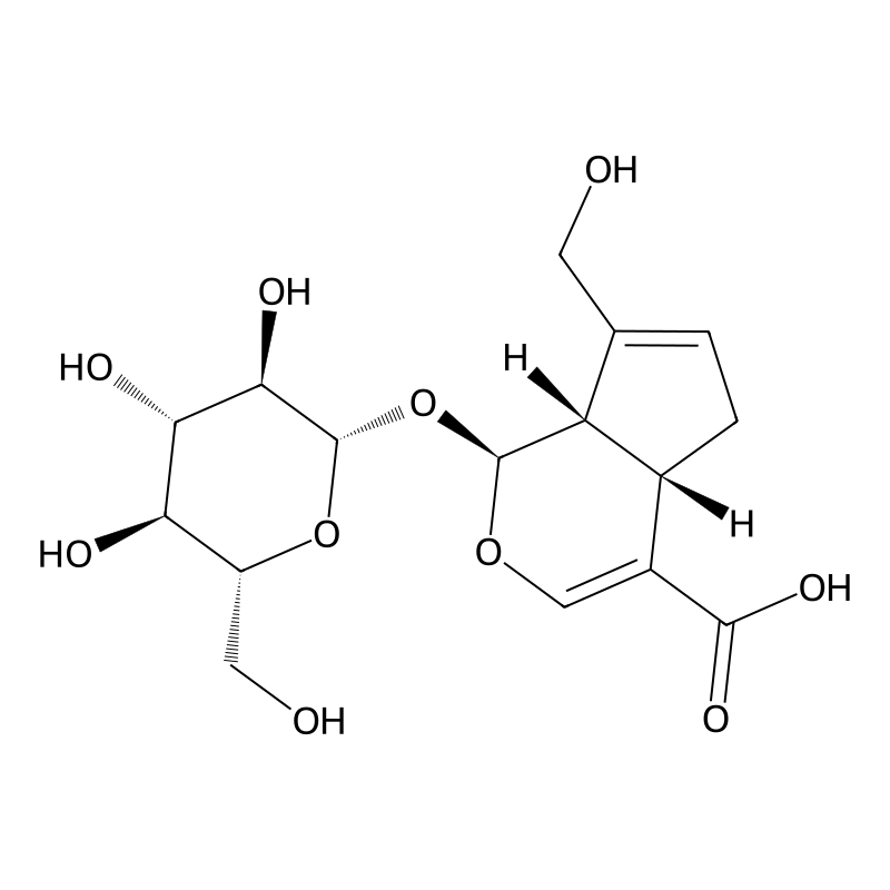 Geniposidic acid