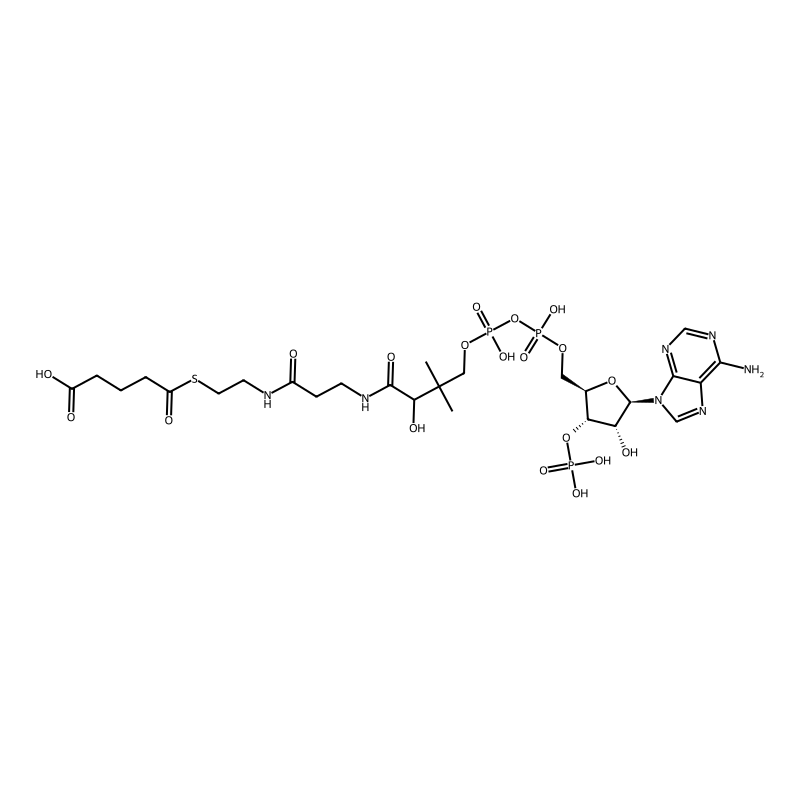 Glutaryl coenzyme A lithium salt