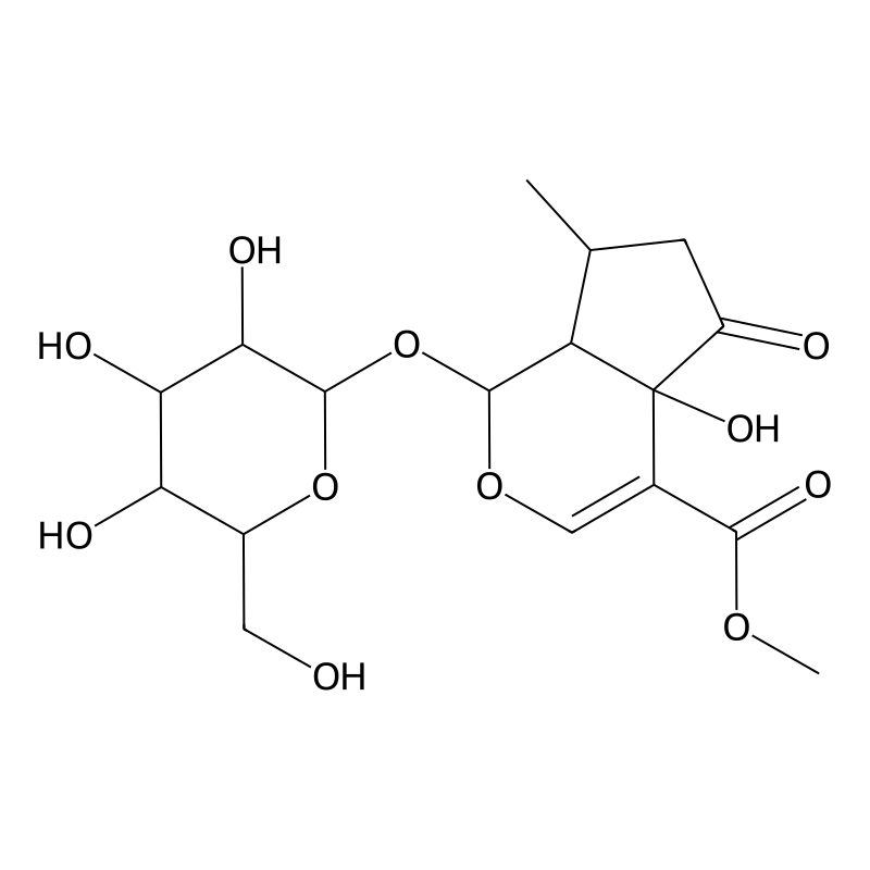 Hastatoside