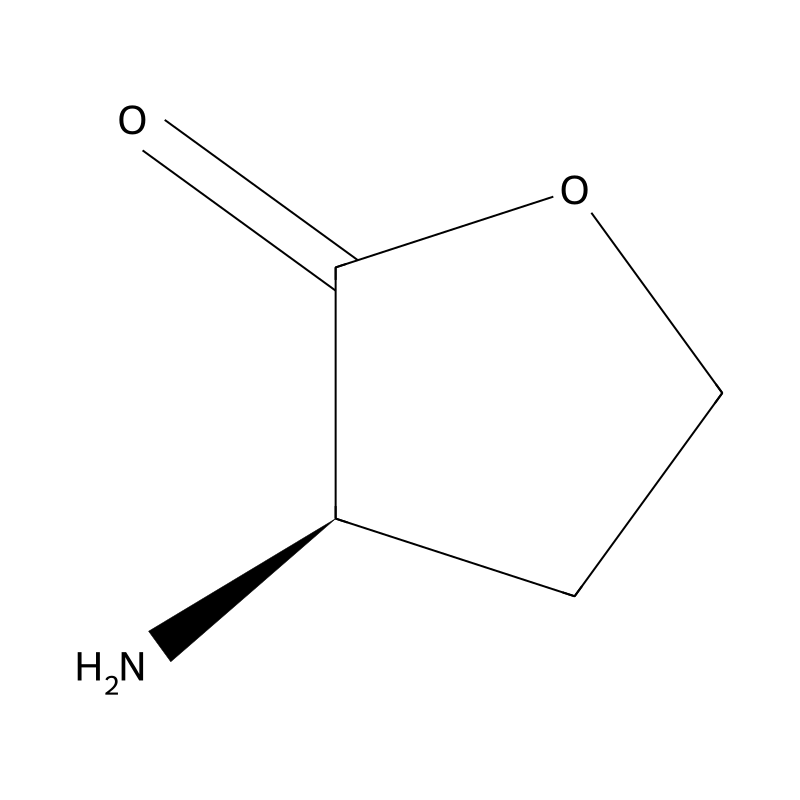 Homoserine lactone