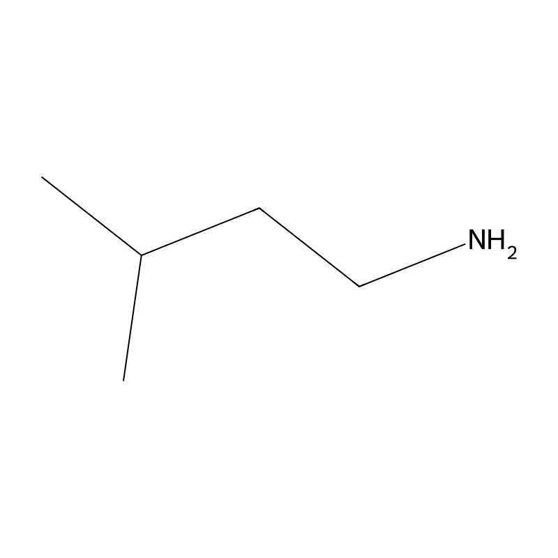 Isopentylamine