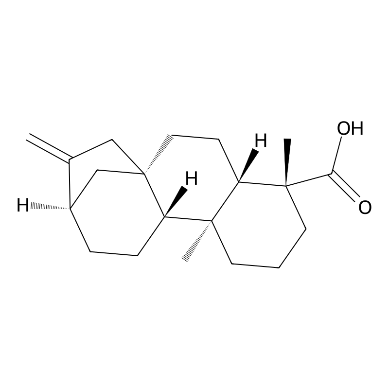 Kaurenoic acid