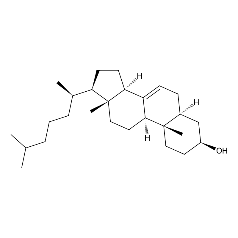 Lathosterol