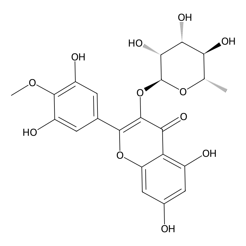 Mearnsitrin