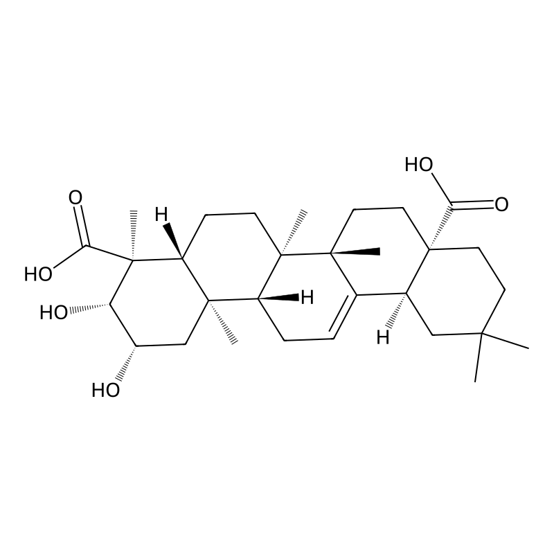 Medicagenic acid