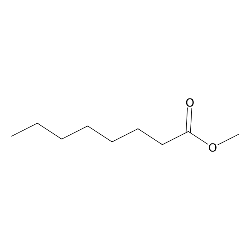 Methyl octanoate