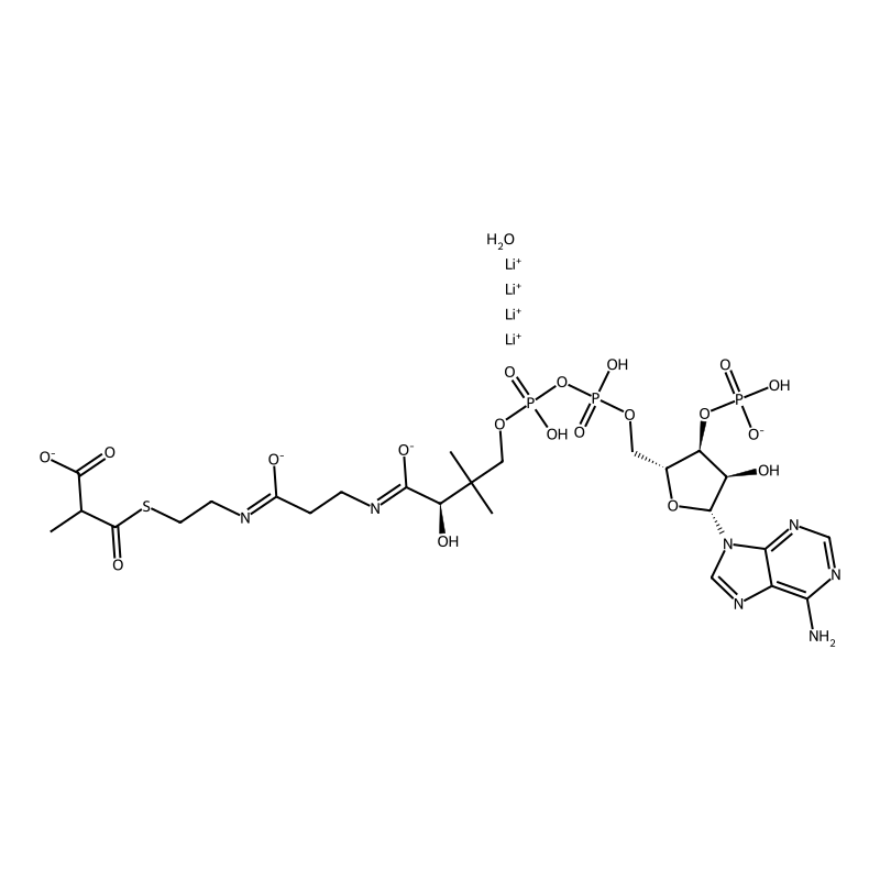 Methylmalonyl coenzyme A tetralithium salt hydrate