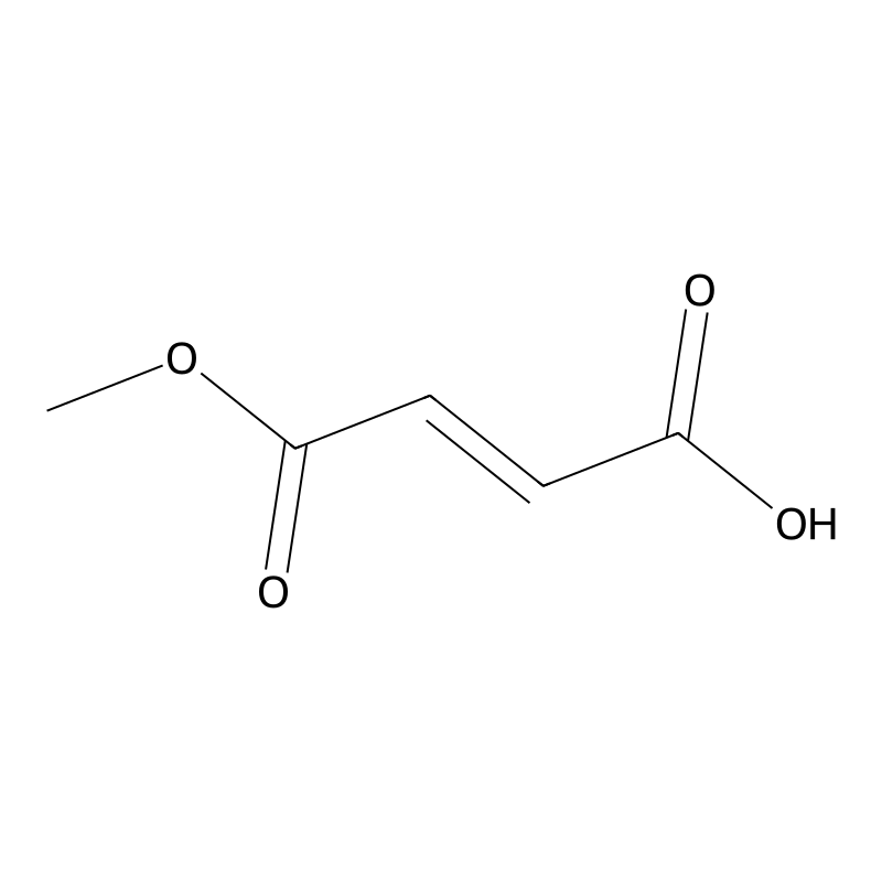 Monomethyl fumarate