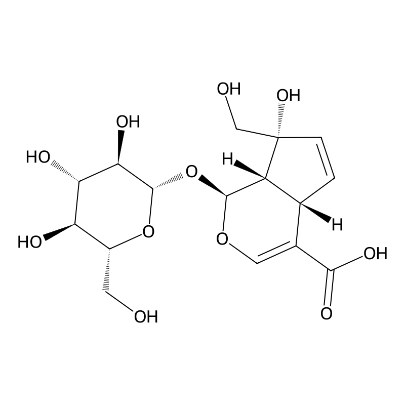 Monotropein