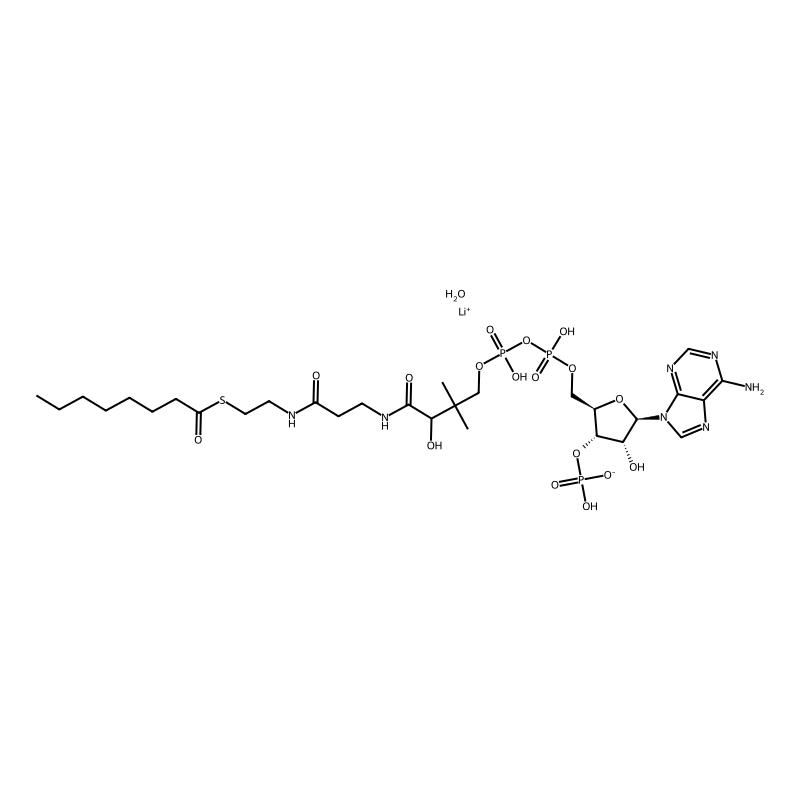 Octanoyl coenzyme A lithium salt hydrate