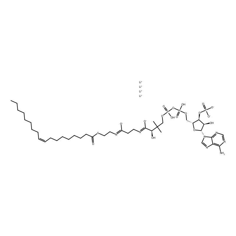 Oleoyl coenzyme A lithium salt