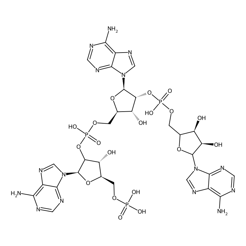 Oligoadenylate