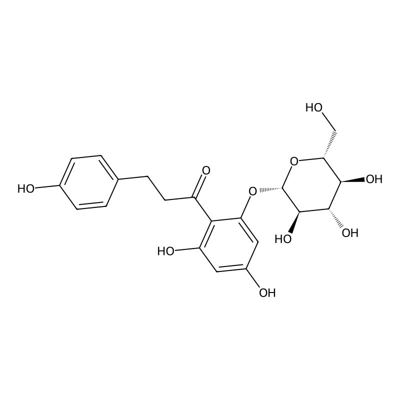 Phlorizin