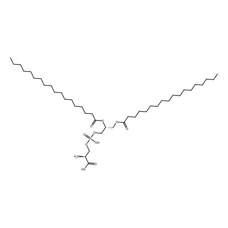 Phosphatidylethanolamine