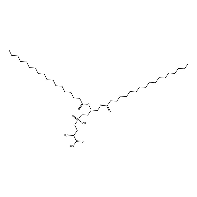 Phosphatidylserine