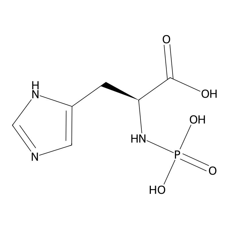 Phosphohistidine