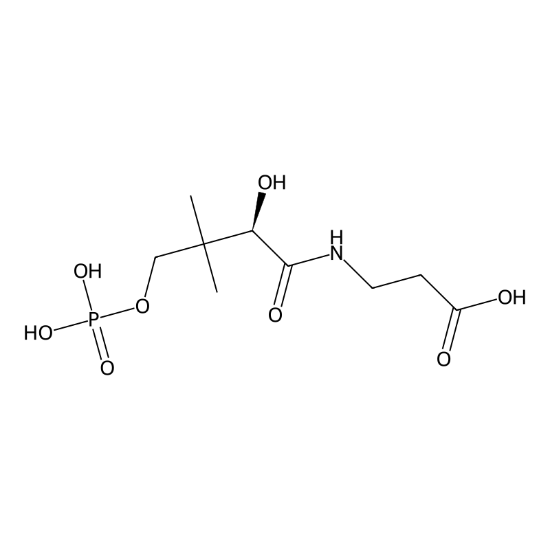 Phosphopantothenic acid