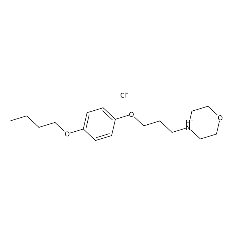 Pramoxine hydrochloride