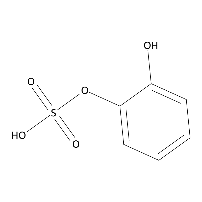 Pyrocatechol sulfate