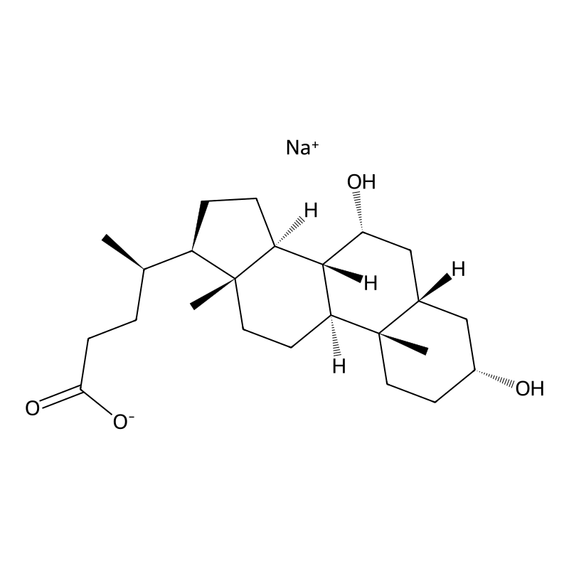 Sodium chenodeoxycholate