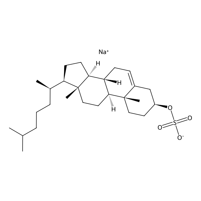 Sodium cholesteryl sulfate