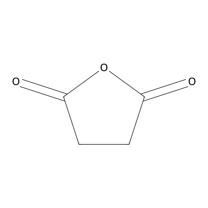 Succinic anhydride