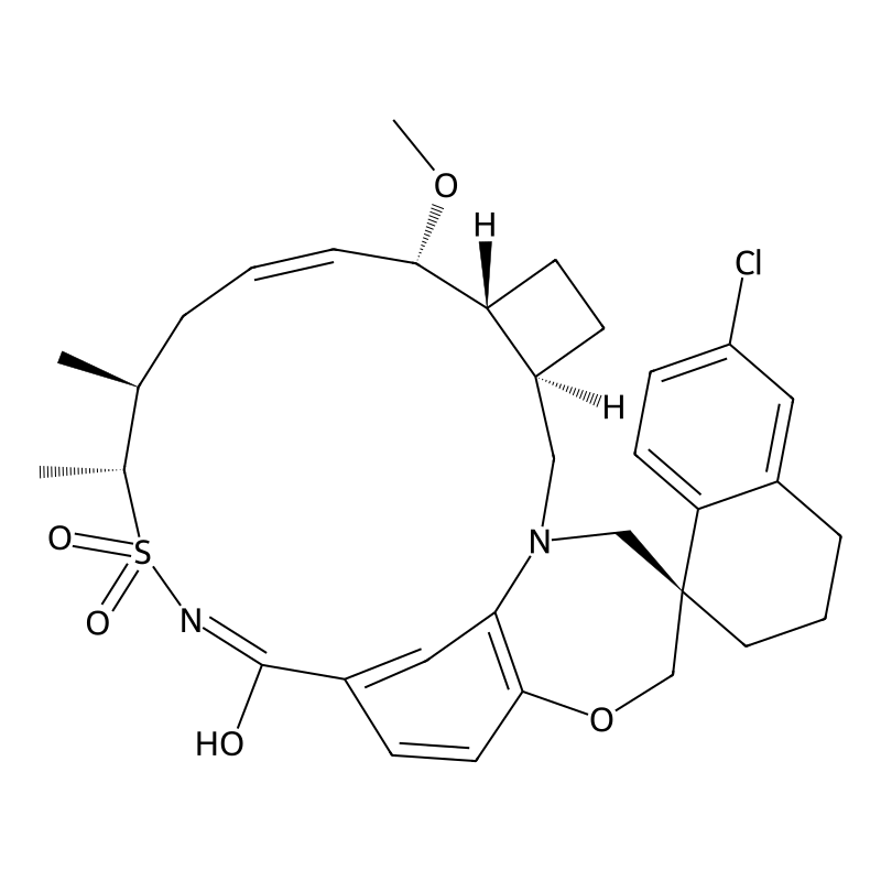 Tapotoclax