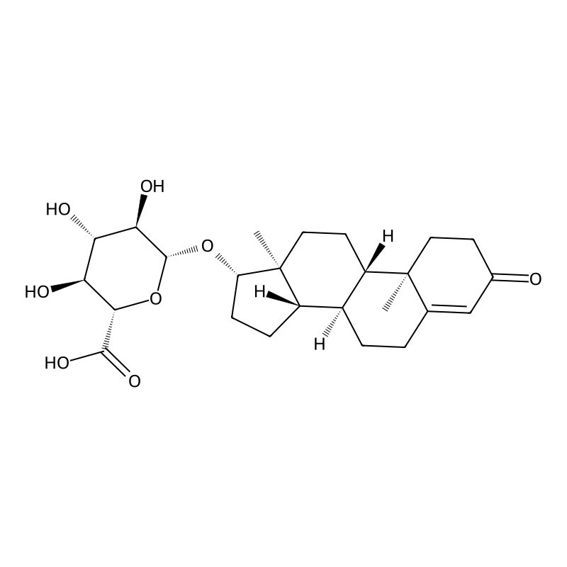 Testosterone glucuronide