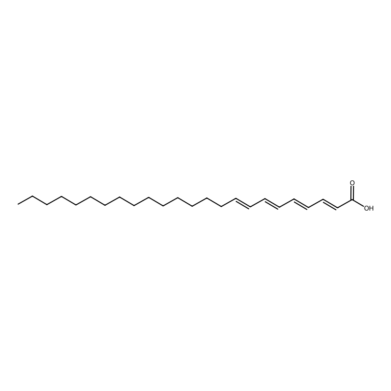 Tetracosatetraenoic acid