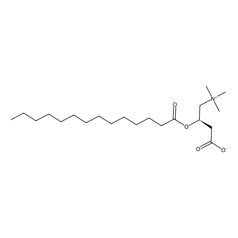 Tetradecanoylcarnitine