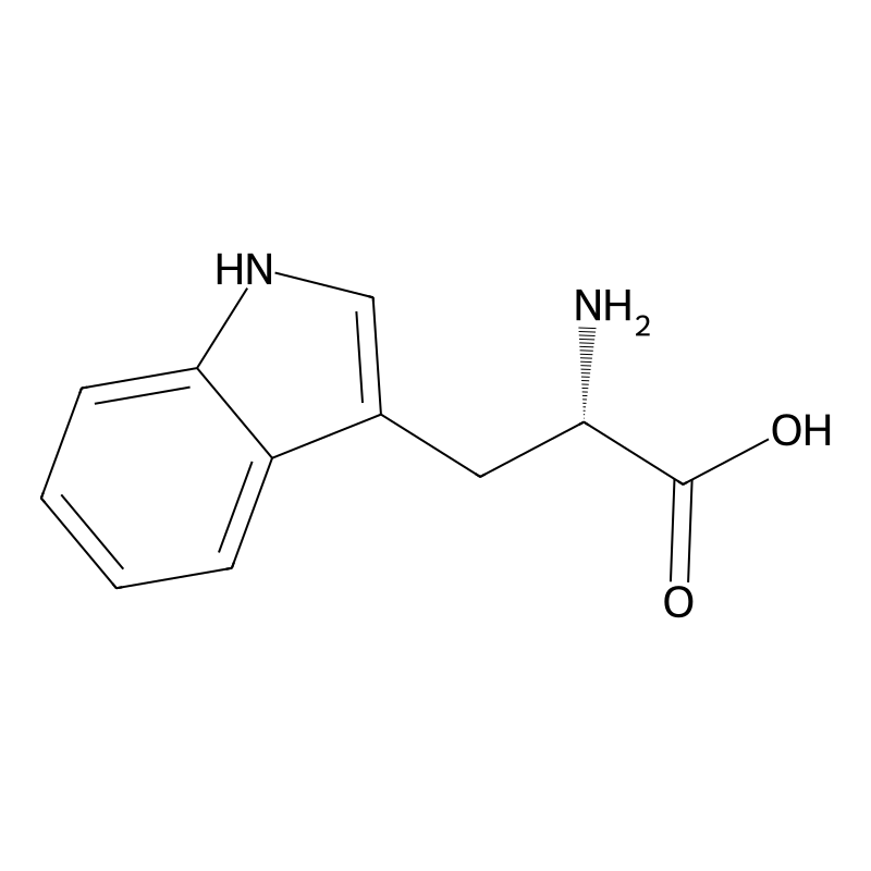 Tryptophan