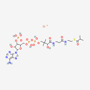 Isobutyryl coenzyme A lithium salt