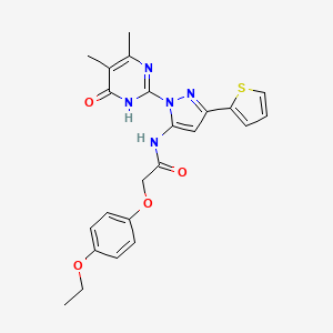 N Dimethyl Oxo Dihydropyrimidin Yl Thiophen Yl