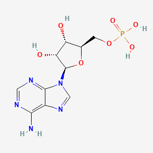 adenosine 5'-monophosphate