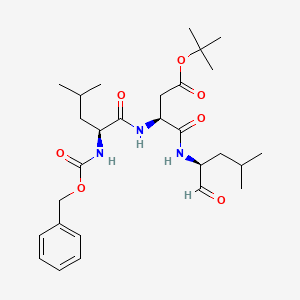 BSc2118